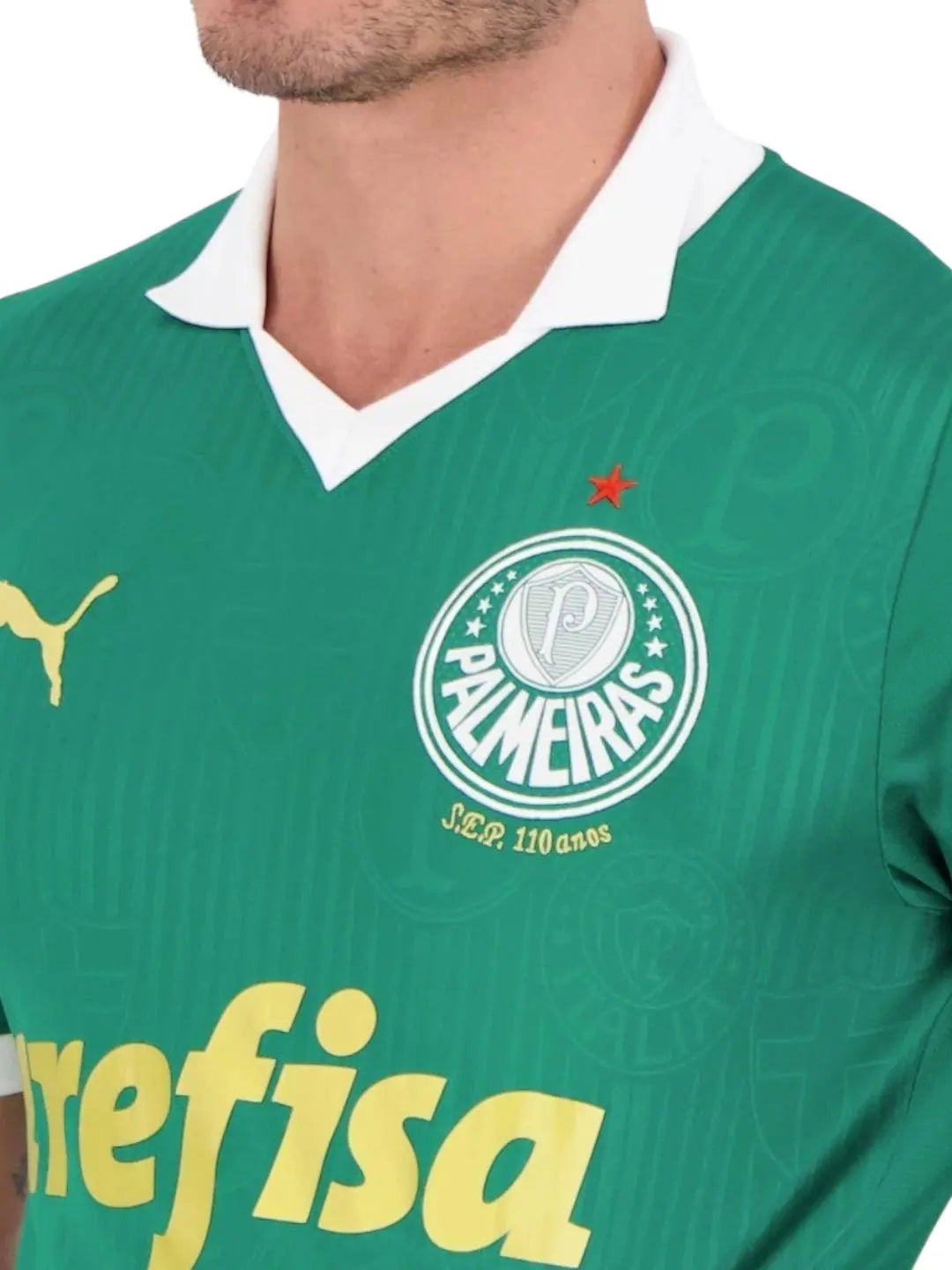 Camisa Masculina Palmeiras I Puma 24/25 Torcedor - Ale Imports