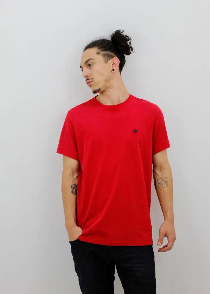 Camiseta Aeropostale Masculina - Ale Imports