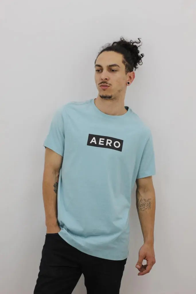 Camiseta Aeropostale Masculina - Ale Imports