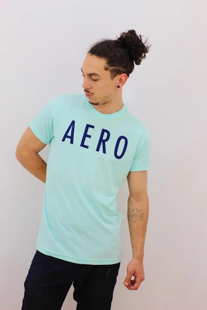 Camiseta Aeropostale Masculina - Ale Imports
