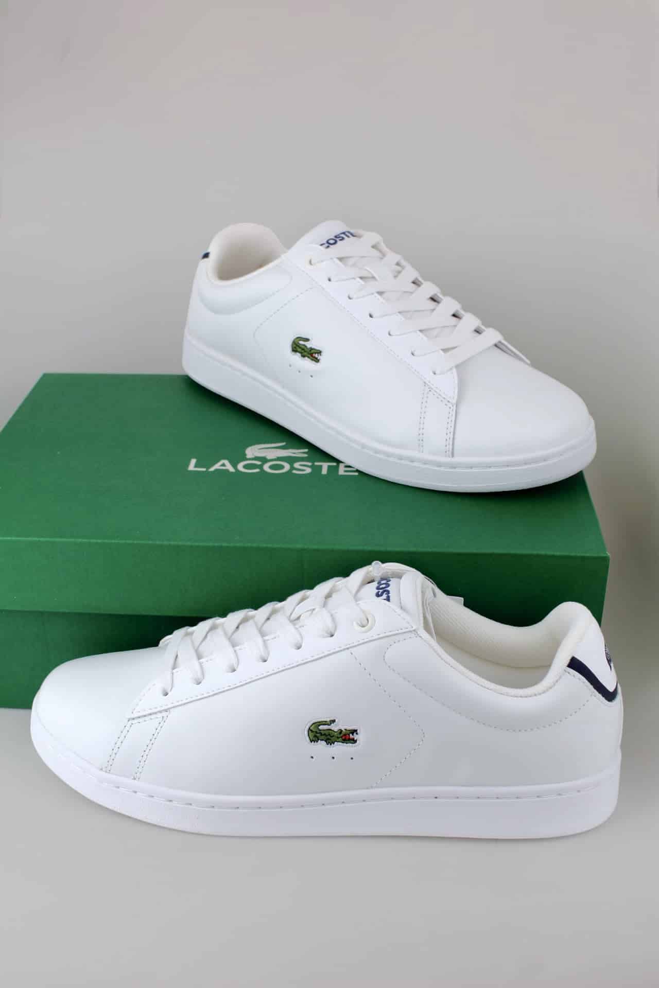 Tênis lacoste Masculino Carnaby Evo - Estilo e Conforto - Ale Imports