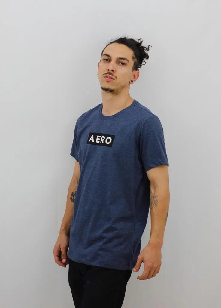 Camiseta Aeropostale Masculina - Ale Imports