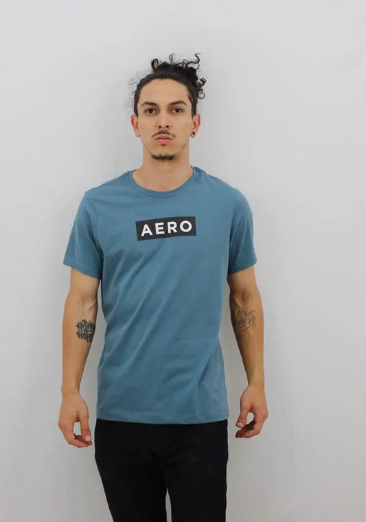 Camiseta Aeropostale Masculina - Ale Imports