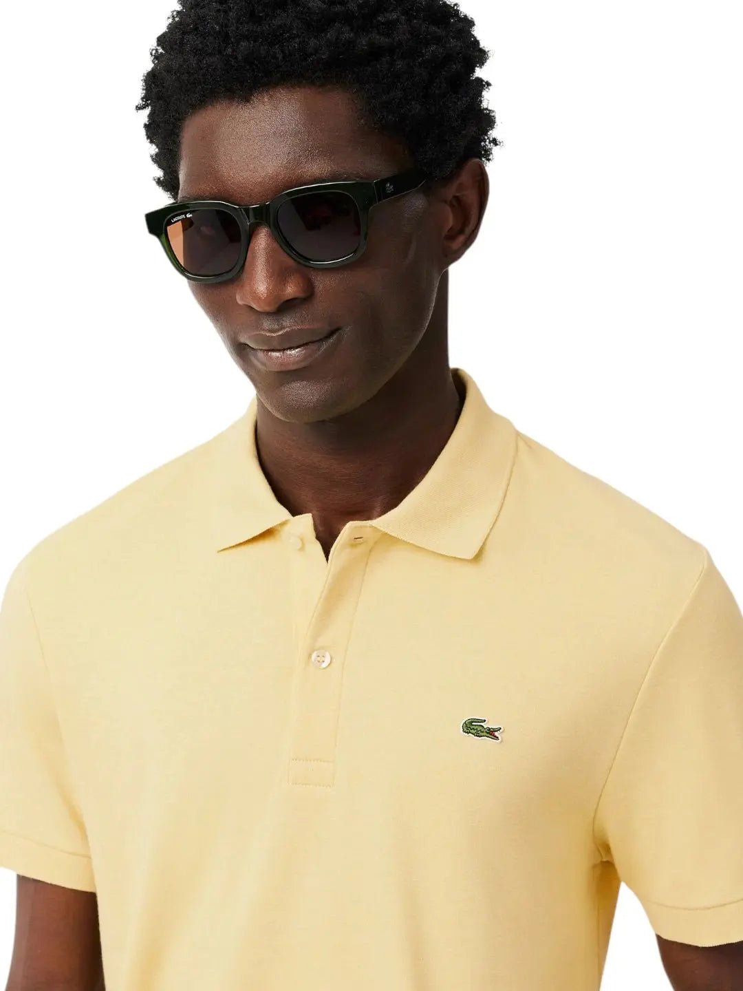 Polo Lacoste Masculina Regular Fit - Ale Imports