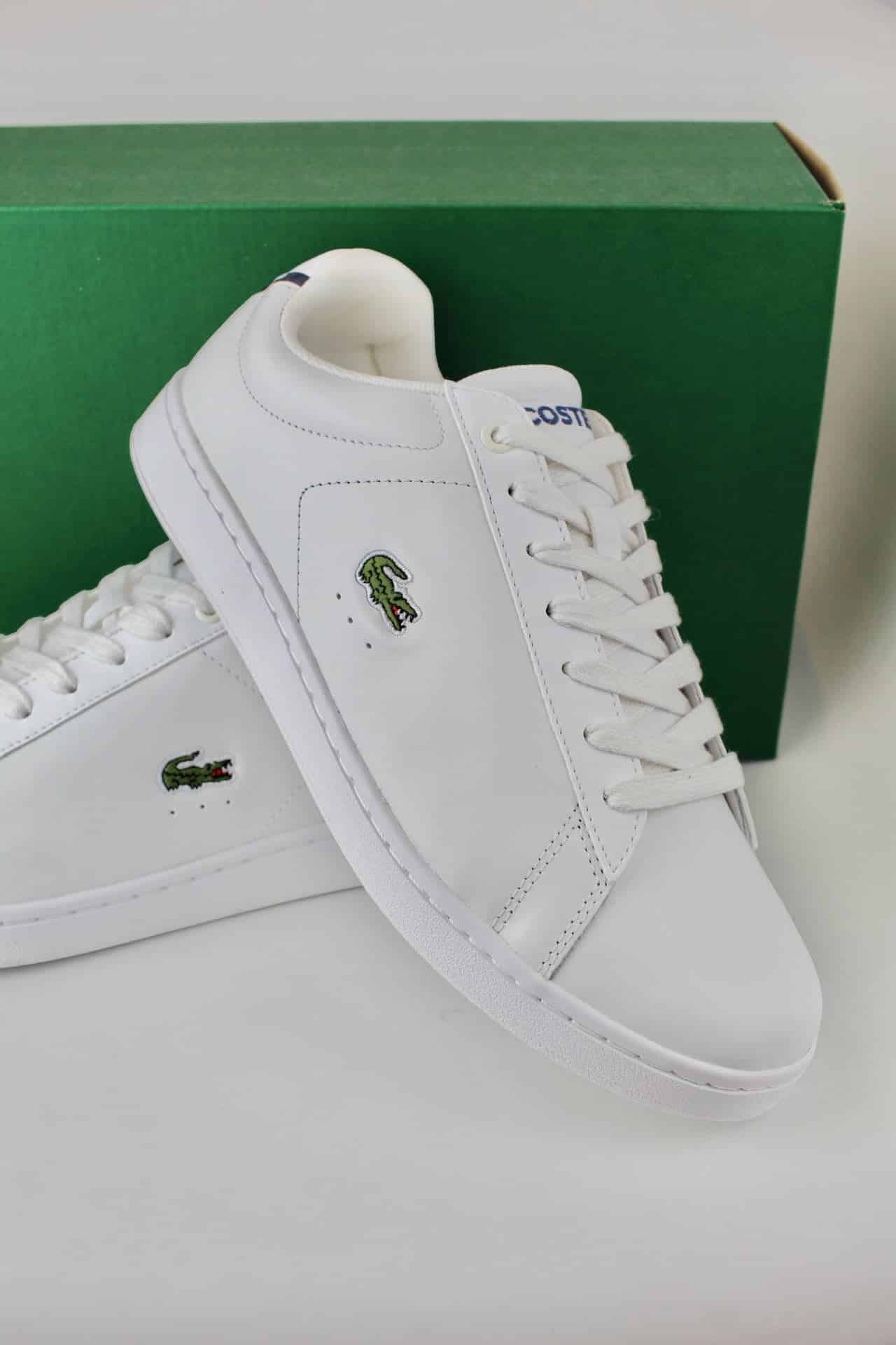 Tênis lacoste Masculino Carnaby Evo - Estilo e Conforto - Ale Imports