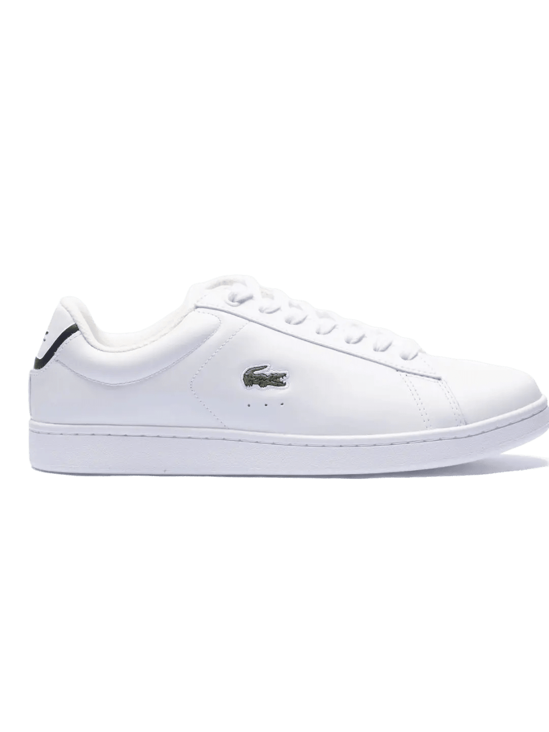 Tênis lacoste Masculino Carnaby Evo - Estilo e Conforto - Ale Imports