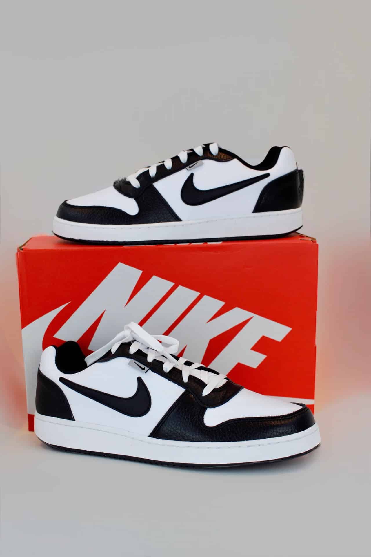 Tênis Nike Ebernon Low - Ale Imports